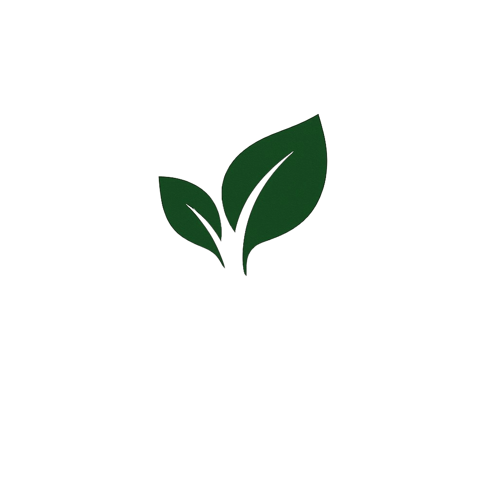 Holistic Design Logo